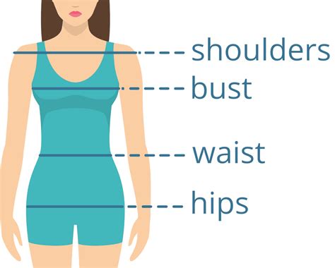 most desired chest waist thigh measurements for thicker women|women's body measurements.